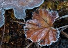 021-DX5Q9910